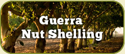 Guerra Cellars